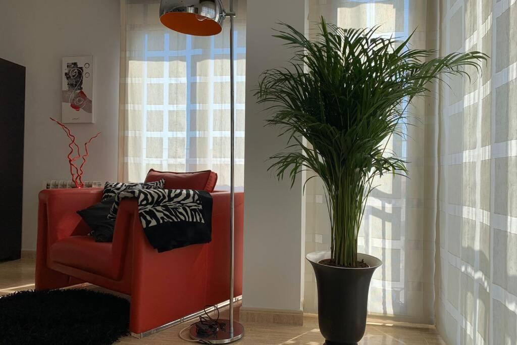 Apartamento Miramar . Amplitud Y Comodidad Almazora Exterior foto